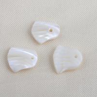 Shell Pendants, Trochus, DIY, white, 12x11.30x2.50mm, Hole:Approx 1mm, Sold By PC