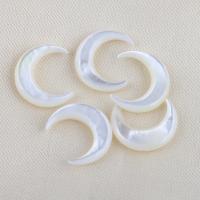 Perles en coquillage blanc naturel, coquille blanche, lune, DIY, blanc, 15x13.10x2.90mm, Vendu par PC