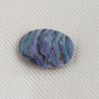Shell Cabochons, Abalone Shell, Round, DIY, 9.80x8.10x1mm, Sold By PC