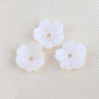 Perles en coquillage blanc naturel, coquille blanche, fleur, DIY, blanc, 8x2.60mm, Trou:Environ 0.6mm, Vendu par PC