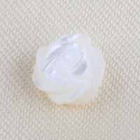 Prirodni Slatkovodni Shell perle, Top Shell, Cvijet, možete DIY, bijel, 8.20x4.60mm, Prodano By PC