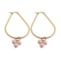 Stainless Steel Drop Earring, 304 Stainless Steel, with Plastic Pearl, fashion jewelry & for woman, golden, 70x38x6mm, Sold By Pair
