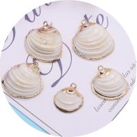 Shell Pendants with Brass gold color plated DIY white Length about 15-17mm Sold By Bag