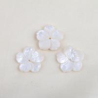 Perles en coquillage blanc naturel, coquille blanche, fleur, DIY, blanc, 19.50x19.20x2.60mm, Trou:Environ 1mm, Vendu par PC
