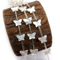 South Sea Shell Beads Natural Seashell Butterfly DIY Sold By PC