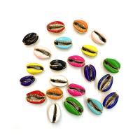 Natural Freshwater Shell Beads with Brass gold color plated DIY & enamel Sold By PC