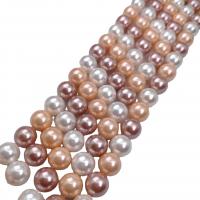 Peties perles de la mer du sud, Shell Pearl, Rond, poli, DIY & normes différentes pour le choix, couleurs mélangées, Vendu par Environ 38 cm brin
