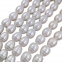 Peties perles de la mer du sud, Shell Pearl, riz, DIY, blanc, 13x17mm, Vendu par Environ 38 cm brin