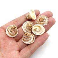 Shell Pendants, with Brass, Conch, gold color plated, DIY & with rhinestone, more colors for choice, 20x21mm, Sold By PC