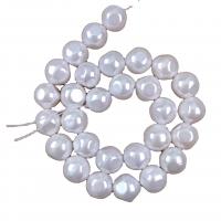 South Sea Shell perle, Shell Pearl, Keishi, možete DIY & različite veličine za izbor, bijel, Prodano Per Približno 38 cm Strand