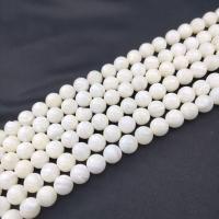 South Sea Shell Beads, Trochus Shell, Round, DIY & different size for choice, white, Sold Per Approx 38 cm Strand