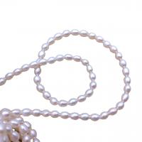 Riso coltivato in perla d'acqua dolce, perla d'acquadolce coltivata naturalmente, DIY, bianco, Length about 5-6mm, Appross. 55PC/filo, Venduto per Appross. 35-37 cm filo