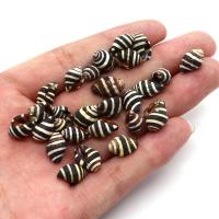 Natural Freshwater Shell Beads, Trumpet Shell, Conch, DIY & no hole, white and black, 10x15mm, Sold By PC
