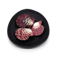 Fashion Decoration Shell Fan DIY deep red Sold By PC