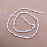 Baroko Kultūringas gėlavandenių perlų karoliukai, Gėlo vandens perlų, Barokas, Pasidaryk pats, baltas, 3mm, Parduota už Apytiksliai 38 cm Strand