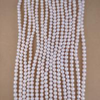 Natural Freshwater Pearl Loose Beads, Slightly Round, DIY, white, Length about 5.5-6.5mm, Approx 69PCs/Strand, Sold Per Approx 38 cm Strand