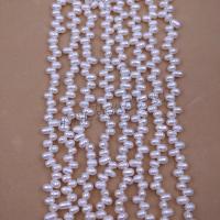 Perles d'eau douce de culture de riz, perle d'eau douce cultivée, DIY, blanc, 4mm, Vendu par Environ 38 cm brin