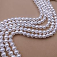 South Sea Shell perle, Shell Pearl, Krug, možete DIY & različite veličine za izbor, bijel, Prodano Per Približno 38 cm Strand