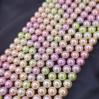 Contas de conchas do Mar do Sul, Shell Pearl, Roda, DIY & tamanho diferente para a escolha, cores misturadas, vendido para Aprox 38 cm Strand
