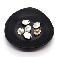 Μενταγιόν Shell, Κέλυφος, με μαργαριτάρι & Ορείχαλκος, Ωοειδής, χρώμα επάργυρα, DIY, 15mm, Sold Με PC