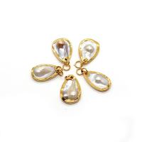 Shell Pendants, with pearl & Brass, Teardrop, gold color plated, DIY, 16x24mm, Sold By PC