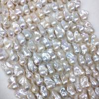 Barok ferskvandskulturperle Beads, Ferskvandsperle, du kan DIY, hvid, Length about 14-15mm, Ca. 16pc'er/Strand, Solgt af Strand