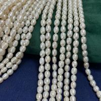 Riso coltivato in perla d'acqua dolce, perla d'acquadolce coltivata naturalmente, DIY, bianco, 5-6mm, Venduto per Appross. 36 cm filo