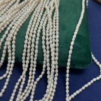 Perlas Arroz Freshwater, Perlas cultivadas de agua dulce, Bricolaje, Blanco, 3-4mm, Vendido para aproximado 36 cm Sarta