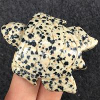 Fashion Decoration Dalmatian Turtle Carved for home and office mixed colors 50mm Sold By PC
