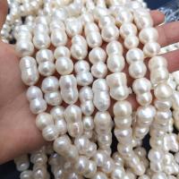 Naturales agua dulce perlas sueltas, Perlas cultivadas de agua dulce, Calabaza, Bricolaje, Blanco, Length about 10-11mm, Vendido para aproximado 38 cm Sarta