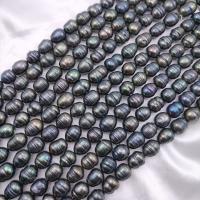 Cultured Rice Freshwater Pearl Beads, DIY, black, Length about 11-12mm, Approx 29PCs/Strand, Sold By Strand