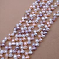 Perlas Arroz Freshwater, Perlas cultivadas de agua dulce, Bricolaje, color mixto, 6mm, Vendido para aproximado 38 cm Sarta