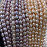 Perlas Arroz Freshwater, Perlas cultivadas de agua dulce, Bricolaje & diverso tamaño para la opción, más colores para la opción, Vendido para aproximado 38 cm Sarta