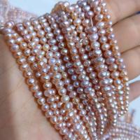 Natural Freshwater Pearl Loose Beads Slightly Round DIY Length about 3.5mm Approx Sold Per Approx 38 cm Strand