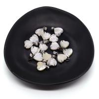 Μενταγιόν Shell, Λευκή κέλυφος λουλουδιών, με Ορείχαλκος, Καρδιά, χρώμα επάργυρα, DIY, 12mm, Sold Με PC