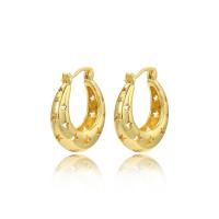 Brass Leverback Earring plated & for woman golden Sold By Pair