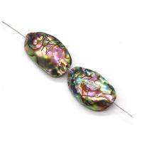 Abalone Shell Beads irregular DIY Length about 13-18mm Hight about 18-30mm Sold By PC