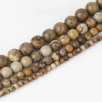 Perles bijoux en pierres gemmes, jaspe de photo, Rond, poli, DIY & normes différentes pour le choix, Vendu par Environ 38 cm brin