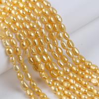 Keshi Cultured Freshwater Pearl Beads, DIY, golden, 7-8mm, Sold Per Approx 36 cm Strand