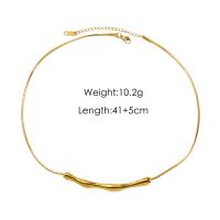 Stainless Steel Jewelry Necklace 304 Stainless Steel with 5CM extender chain plated for woman Length Approx 41 cm Sold By PC