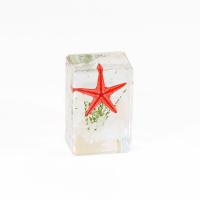 Resin Decoration, with Starfish, Unisex, more colors for choice, 45x30x20mm, 6PCs/Lot, Sold By Lot