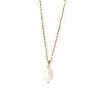Stainless Steel Jewelry Necklace 304 Stainless Steel with Plastic Pearl with 1.97inch extender chain 18K gold plated fashion jewelry & for woman golden 15.40mm Sold Per Approx 15.16 Inch Strand