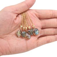 Brass Necklace with Abalone Shell with 1.9inches extender chain plated & for woman golden Length Approx 17.7 Inch Sold By PC