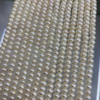 Naturel d'eau douce perles, perle d'eau douce cultivée, Plat rond, DIY, blanc, 4.5-5mm, Vendu par Environ 37 cm brin