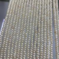 Naturel d'eau douce perles, perle d'eau douce cultivée, Plat rond, DIY, blanc, 3-4mm, Vendu par Environ 37 cm brin