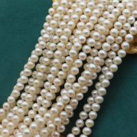 Naturalne perły słodkowodne perełki luźne, Perła naturalna słodkowodna, Lekko okrągły, DIY & różnej wielkości do wyboru, biały, sprzedawane na około 38 cm Strand