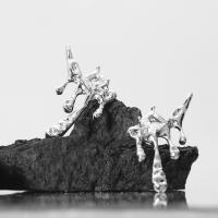 Kolczyk mosiądz Hodowla, ze Sześcienna cyrkonia, Powlekane, biżuteria moda & dla kobiety, bez zawartości niklu, ołowiu i kadmu, 35x28mm, sprzedane przez PC
