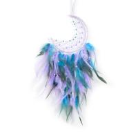 Fashion Dream Catcher Iron with Cotton Thread & leather cord & Feather & Plastic for home and office 550mm Sold By PC