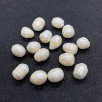 Natural Freshwater Pearl Loose Beads Rice plated DIY white nickel lead & cadmium free mm Sold By PC