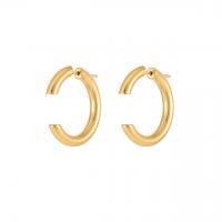 Titanium Staal Earring, voor vrouw, gouden, Verkocht door pair